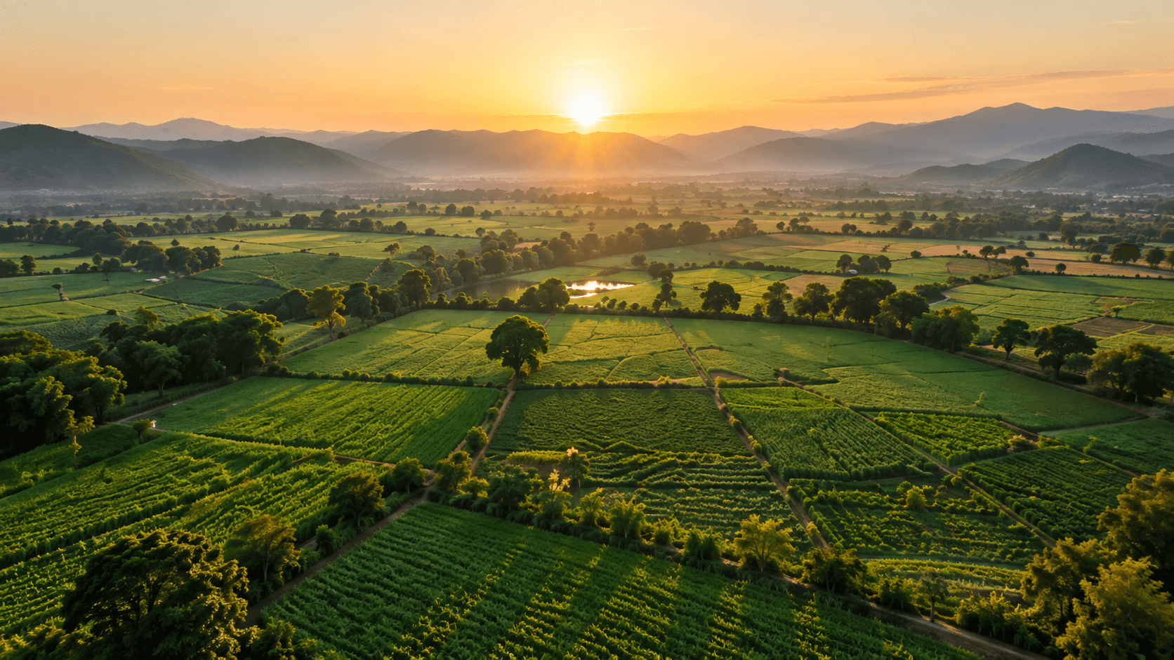 How to Buy Agricultural Land Safely in Maharashtra